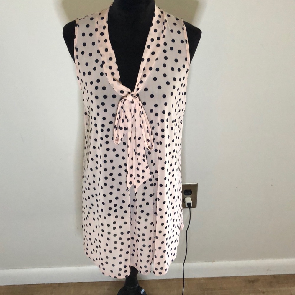 Sheer Polka Dot Blouse